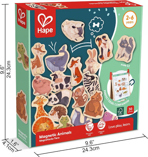 Hape Jucărie Magnetică De Construcție