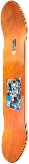 Polar 8.25" Σανίδα Shortboard