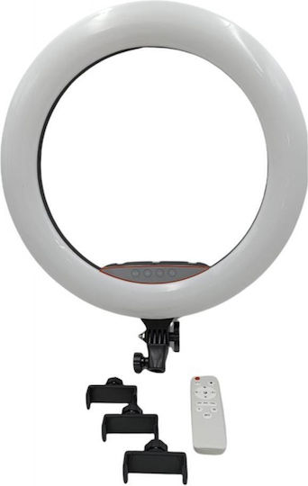 Ring Light 45.72cm with Mobile Phone Holder
