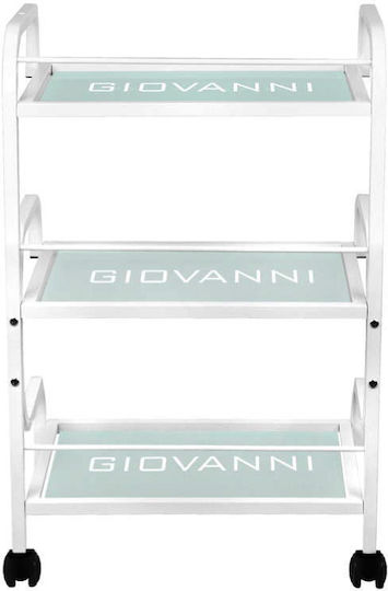 Beauty Roll Hair Salon Maintenance Cart