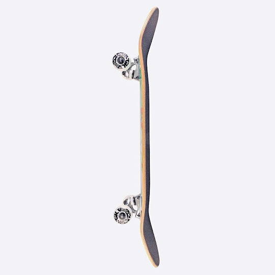 DGK Blast Off Complete 7.5" Komplett Kurzboard Orange