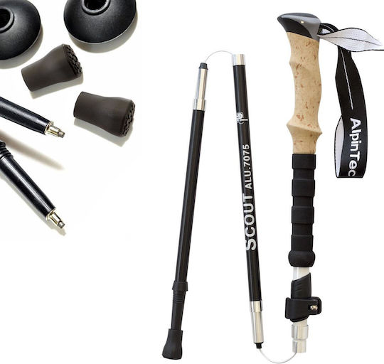 AlpinPro T5a7 Wanderstock