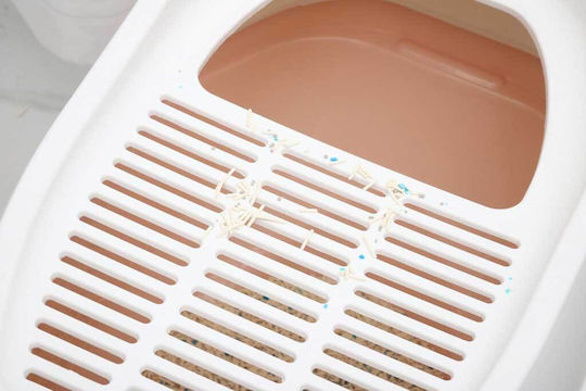 Cat Toilet Closed White L61 x W42 x H41cm