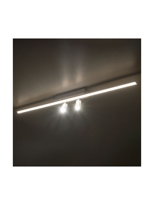 Inlight Единично LED Регулируемо бяло Спот в Бял Цвят