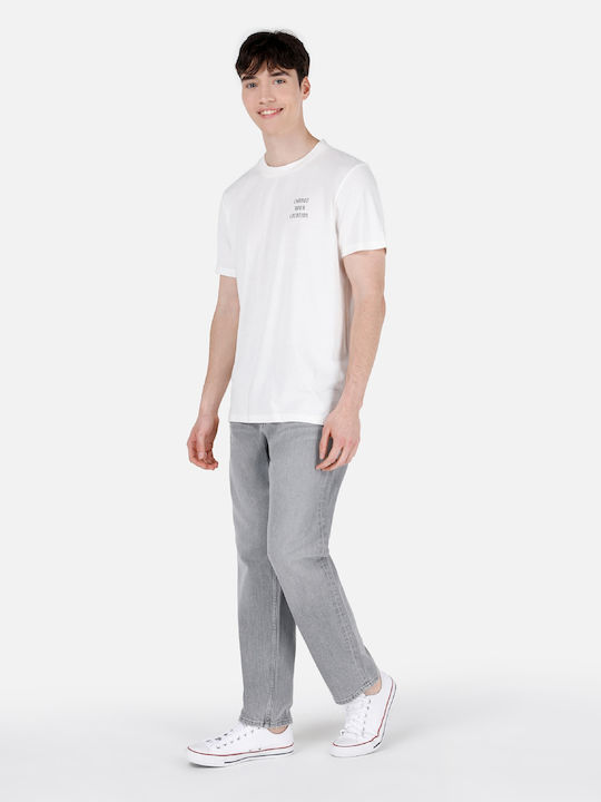 Hose Gray