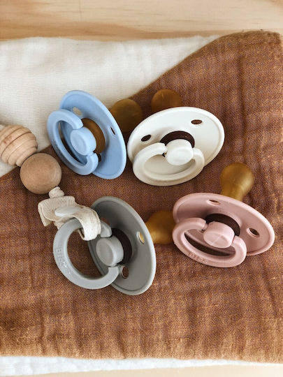 Bibs Colour No 1 Pacifiers Rubber Island Sea / Forest Lake for 0+ Months 2 Pieces