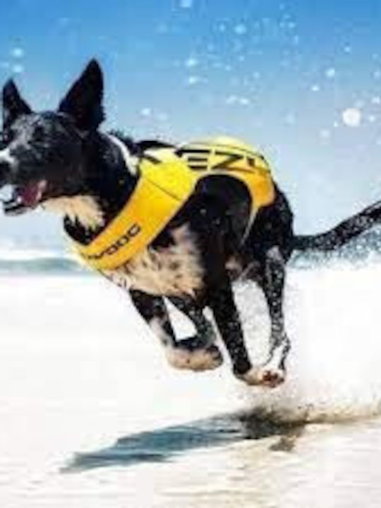 EZYDOG Life Jacket Σωσίβιο σκύλου DFD X2 Boost Ροζ XS ( L:30-45cm ) (G:45-55cm)