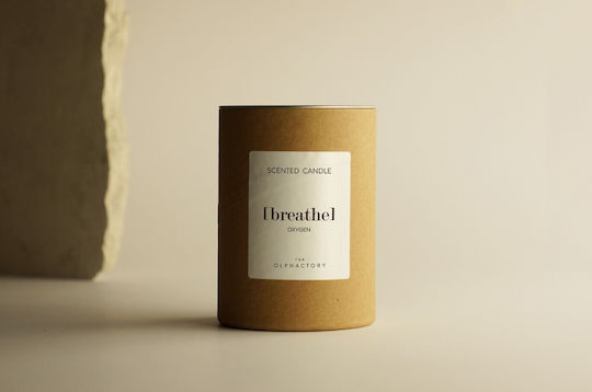 Ambientair Aromatic Candle in Brown Jar 200g