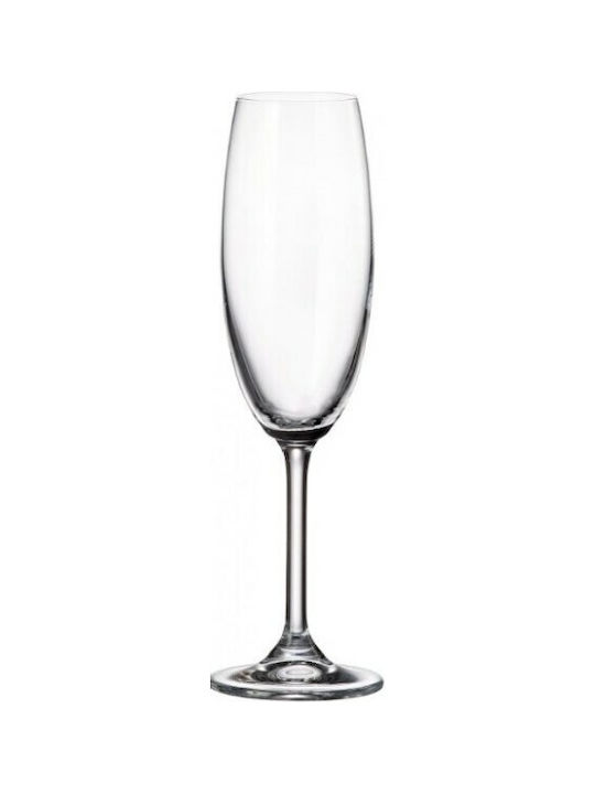 Bohemia Colibri Glass Champagne made of Crystal Goblet 220ml