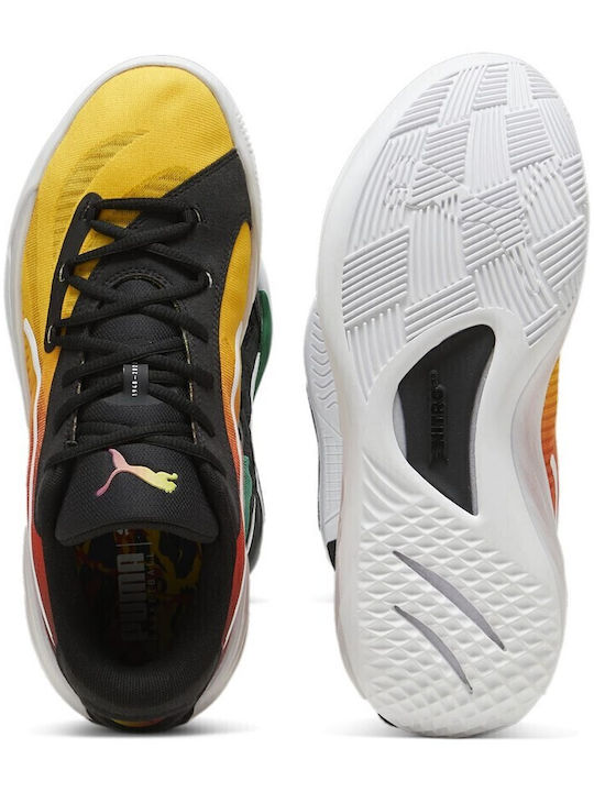 All-Pro Nitro Showtime Niedrig Basketballschuhe Mehrfarbig