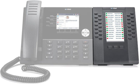 Mitel (50006874)