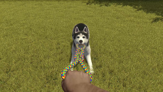 House Flipper Pets Edition PS4 Game
