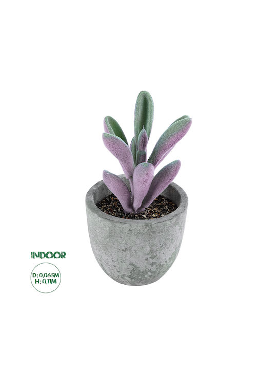 Globostar Artificial Garden Succulent Crasulla 21031 Decorative Plant Succulent Crasulla H11cm