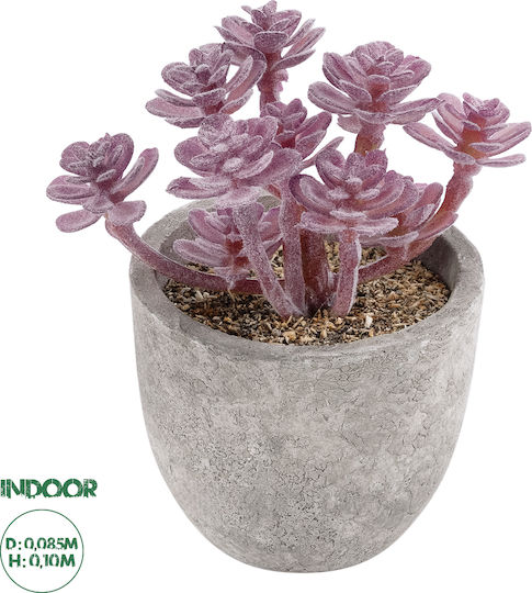 Globostar Grădină Artificială Suculentă Sedum 21017 Plantă Decorativă Suculentă Sedum H10cm Globostar Grădină Artificială Suculentă Sedum 21017 Plantă Decorativă Suculentă Sedum H10cm