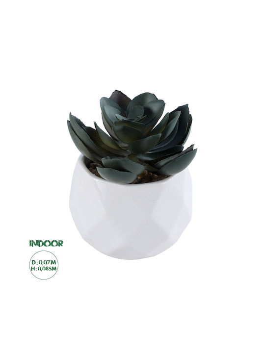 Globostar Artificial Garden Succulent Echeveria 20990 Decorative Plant Succulent Echeveria H8.5cm