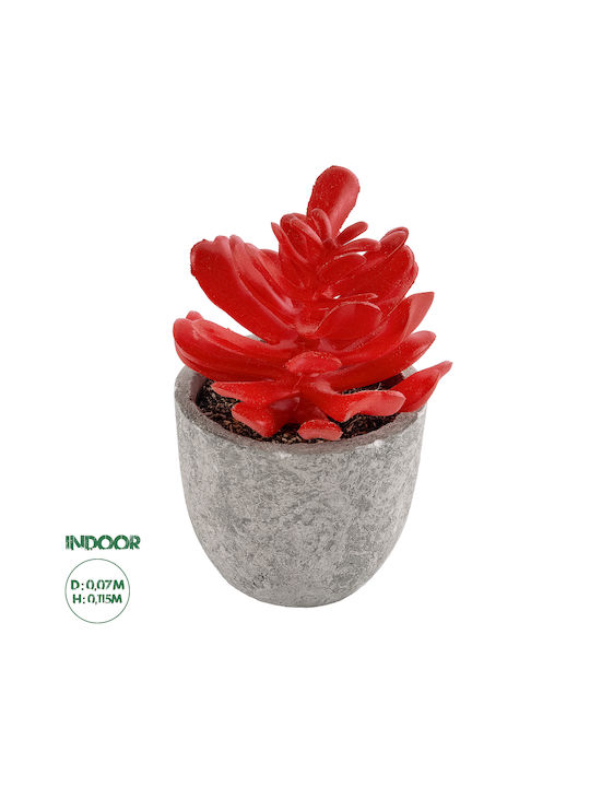 Globostar Artificial Garden Succulent Crassula 21013 Decorative Plant Succulent Crassula H11.5cm