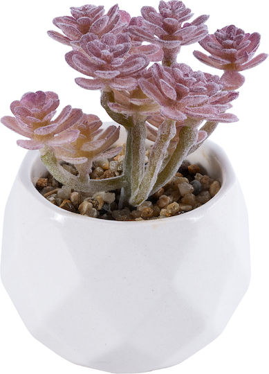 Globostar? Artificial Garden Succulent Sedum 20988 Διακοσμητικό Φυτό Παχύφυτο Σέδο Υ10cm