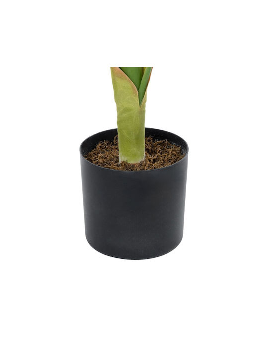 Artificial Plant in Pot Musa Banana Green 55cm GloboStar