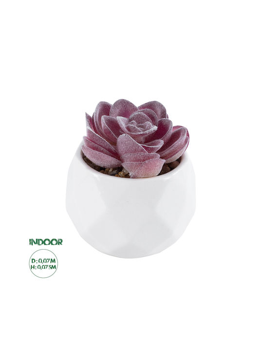 Artificial Plant in Small Pot Succulent Echeveria Purple 7.5cm GloboStar