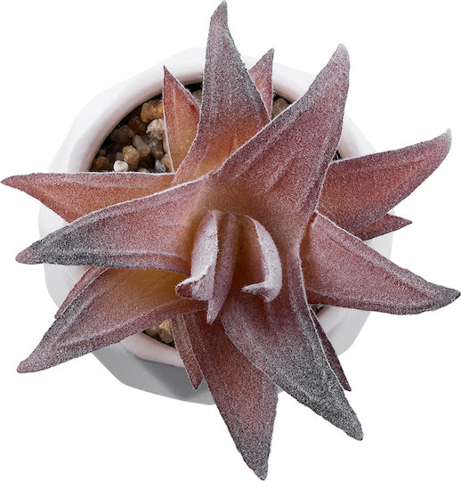 Globostar? Artificial Garden Succulent Aloe 21006 Διακοσμητικό Φυτό Παχύφυτο Αλόη Υ10cm