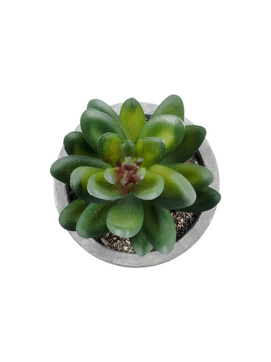 Globostar? Artificial Garden Succulent Sedeveria Decorative Thick Succulent Plant Y10cm GloboStar