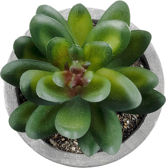 Globostar? Künstlicher Garten Sukkulent Sedeveria Dekorative dicke Sukkulentenpflanze Y10cm GloboStar