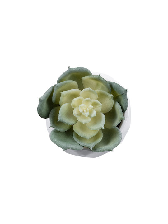 Изкуствена градинска сукулента Echeveria 20980 от Globostar - декоративна растителност, сукулента Echeveria с височина 7.5 см