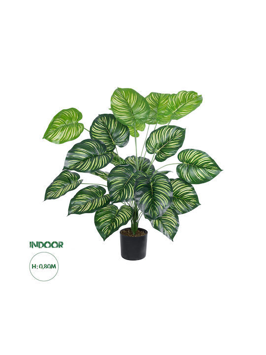 Globostar? Plantă decorativă artificială Calathea Grădină 20922 Calathea H80cm