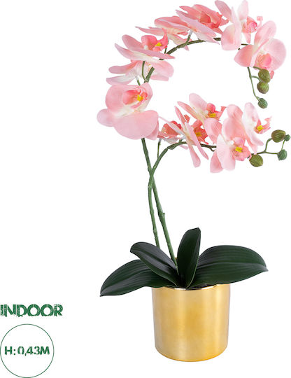 Globostar Artificial Garden Salmon Pink Orchid 21129 Decorative Plant Fuchsia Orchid H43cm