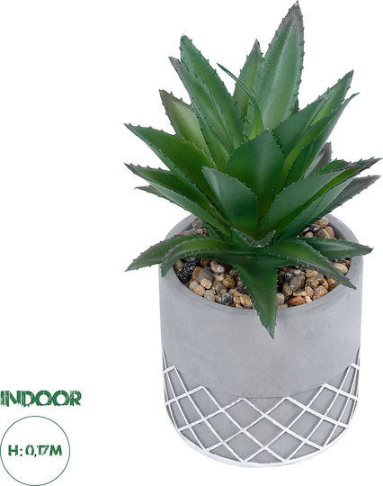 Globostar? Artificial Garden Succulent Aloe 21096 Decorative Plant Succulent Aloe H17cm Globostar? Artificial Garden Succulent Aloe 21096 Decorative Plant Succulent Aloe H17cm