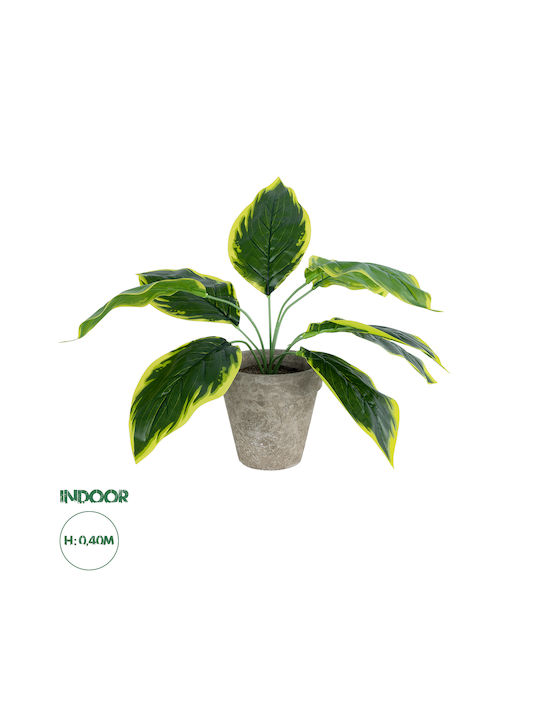 Globostar Grădină Artificială Hosta Galbenă 20899 Plantă Decorativă Artificială Hosta Galbenă H40cm