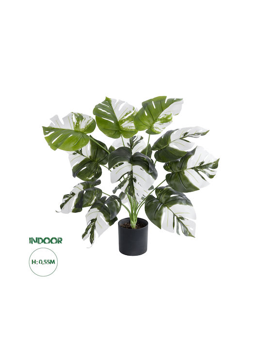 Globostar Künstliche Garten Albino Monstera 20935 Dekorative Pflanze Weiße Monstera H55cm