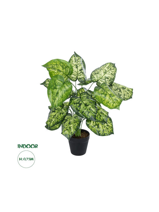 Globostar Artificial Garden Dieffenbachia 20914 Decorative Plant H75cm