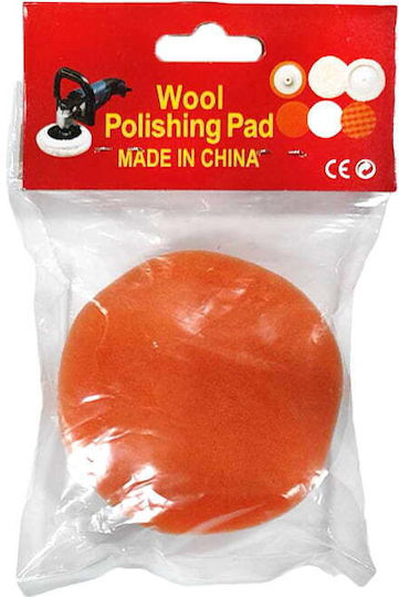 Karcher Polishing Sponge 127mm