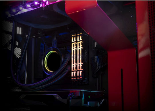 Kingston Fury Renegade DDR4 32GB RAM with 2x16GB Modules and Speed 3600 for Desktop