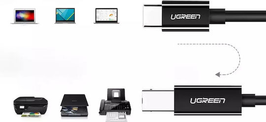 Ugreen US241 USB 2.0 Kabel USB Typ-C männlich - USB-B Schwarz 1m 80811