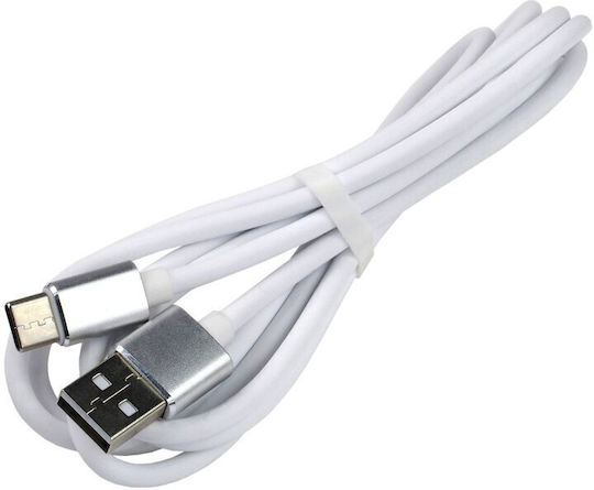 everActive CBS-1.5CW Braided USB 2.0 Cable USB-C male - USB-A Λευκό 1.5m