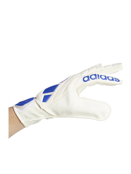 adidas Copa Gl Clb Adults Goalkeeper Gloves White