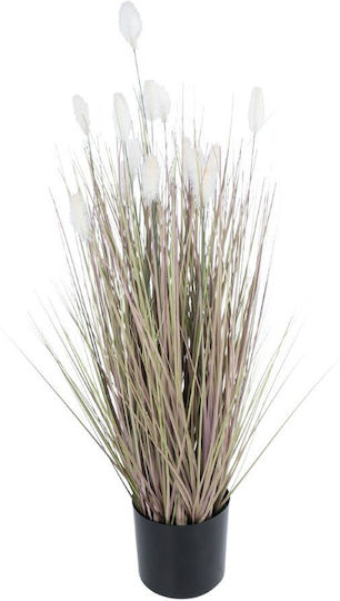 Bunny Tails in Beige Potted Plant