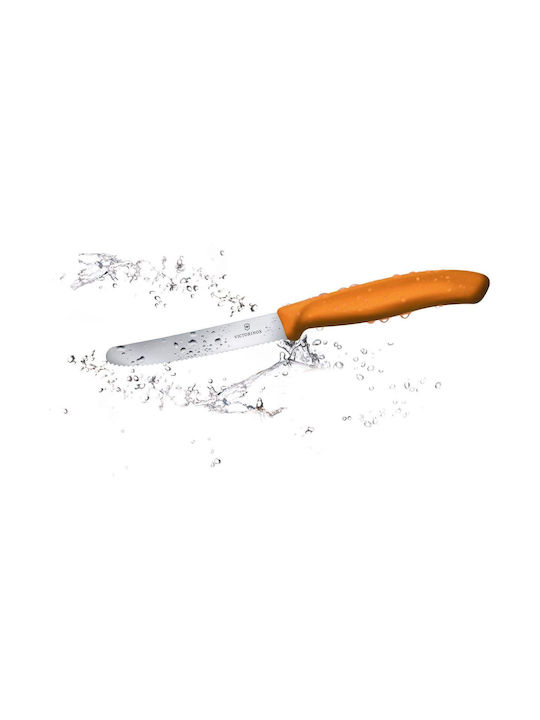 Victorinox Swiss Classic Knife General Use from Stainless Steel 11cm