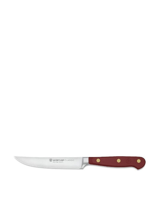 Wusthof Classic Steak Knife of Stainless Steel Tasty Sumac 12cm 1061710512