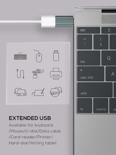 Ldnio Convertor USB-C masculin în USB-C feminin Gri 1buc LC140