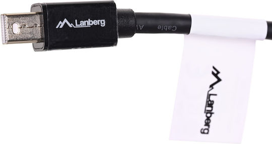 Lanberg Μετατροπέας mini DisplayPort male σε DisplayPort female 1τμχ AD-0003-BK