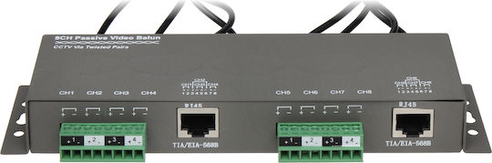 Video Transformer Tr-8m