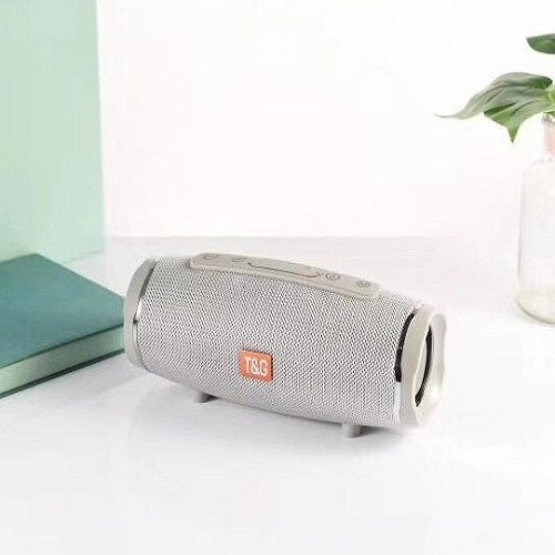 T&G Bluetooth Speaker 10W with Radio and Battery Life up to 3 hours Silver