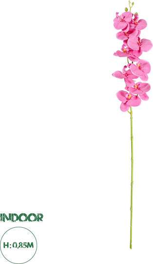 Pink Orchid GloboStar