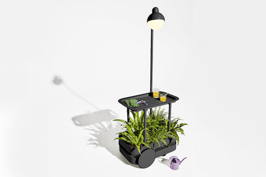 Auxiliary Trolley Jolly Free Standing 78x55cm Anthracite Auxiliary Trolley Jolly Free Standing 78x55cm Anthracite