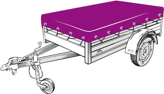 vidaXL Δίχτυ Αποσκευών Αυτοκινήτου 250x250cm Πράσινο