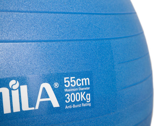 AMILA Ball Pilates 55cm 0.95kg in Blue Color
