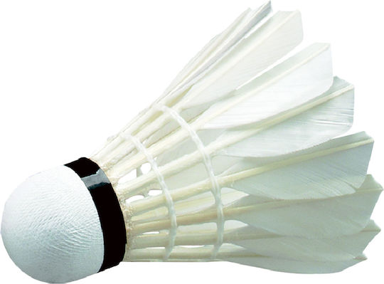 Wish Φτερά Badminton 12τμχ Αγώνων